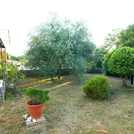 Apartment Dali *